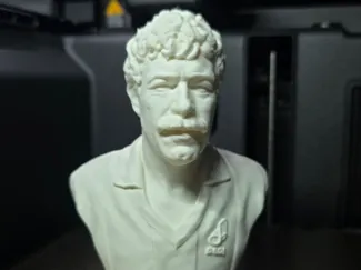 Busto Massimo Palanca