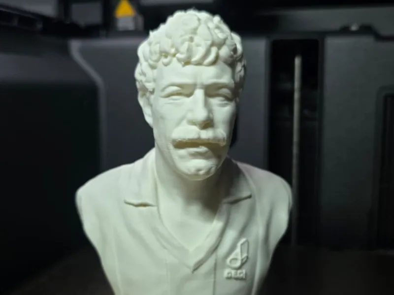 Busto Massimo Palanca