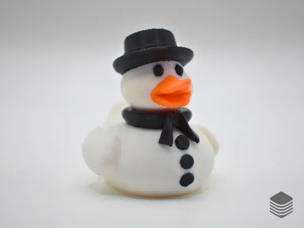 https://makerworld.bblmw.com/makerworld/model/US6785aa51ad3c19/design/2025-01-17_e5d233eba97bb.png