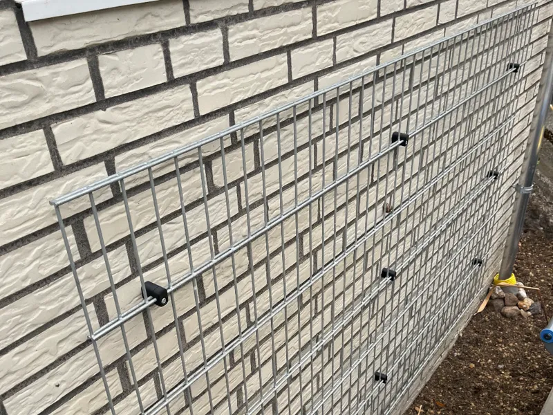 Halter Doppelstabmattenzaun als Rankgitter
