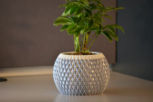 https://makerworld.bblmw.com/makerworld/model/US6792589fc5922/design/2024-05-01_c3bd2ef8839d.jpg