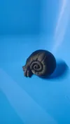 0.12mm layer, 2 walls, 5% infill