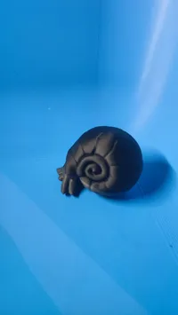 0.12mm layer, 2 walls, 5% infill
