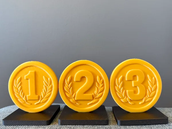https://makerworld.bblmw.com/makerworld/model/US6796a167fbe311/design/2025-07-08_61516ef0f99fc.jpg