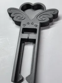 双针带 勺
