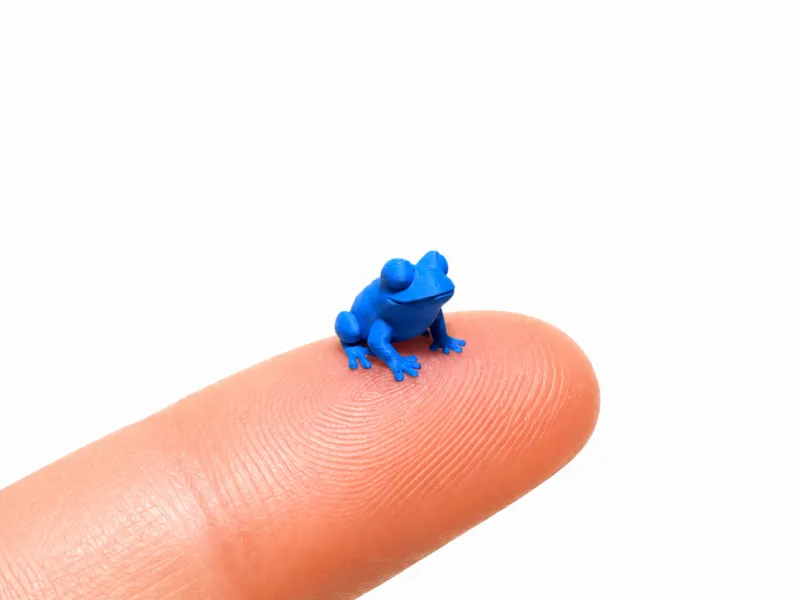 World's smallest Frog (0.4 mm nozzel)