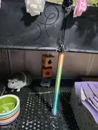 Pilier de support pour cage de cochon d'Inde — photo 1