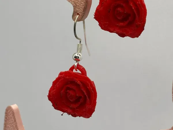 https://makerworld.bblmw.com/makerworld/model/US67af3080b315dc/design/2025-02-02_a22baf9ac3ac8.jpg