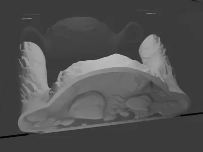 Cave for insects