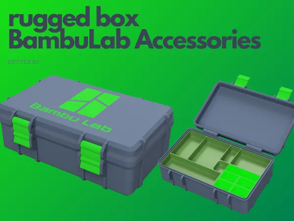 https://makerworld.bblmw.com/makerworld/model/US67afd369474233/design/2024-06-30_5710396597174.png