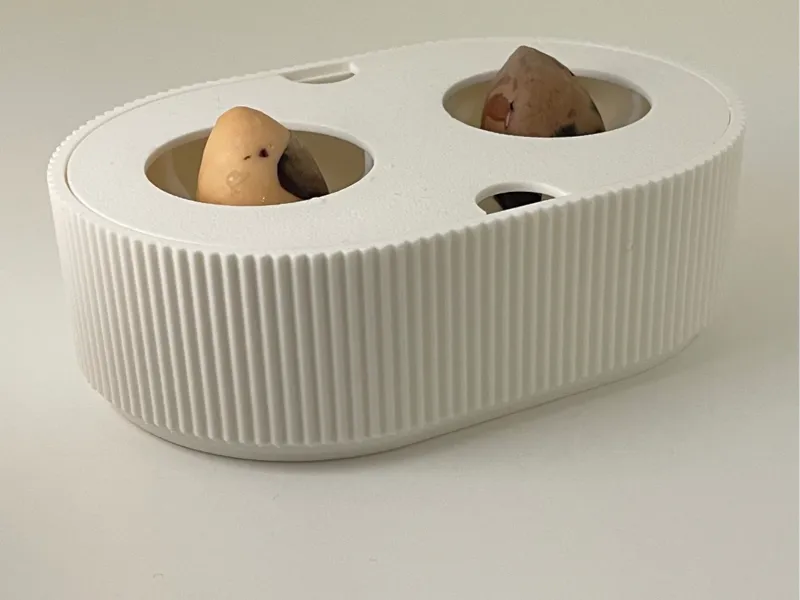 Avocado Double Grower
