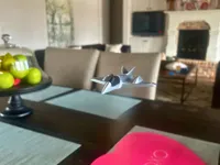 Petit avion à réaction - rapide et facile — photo 3