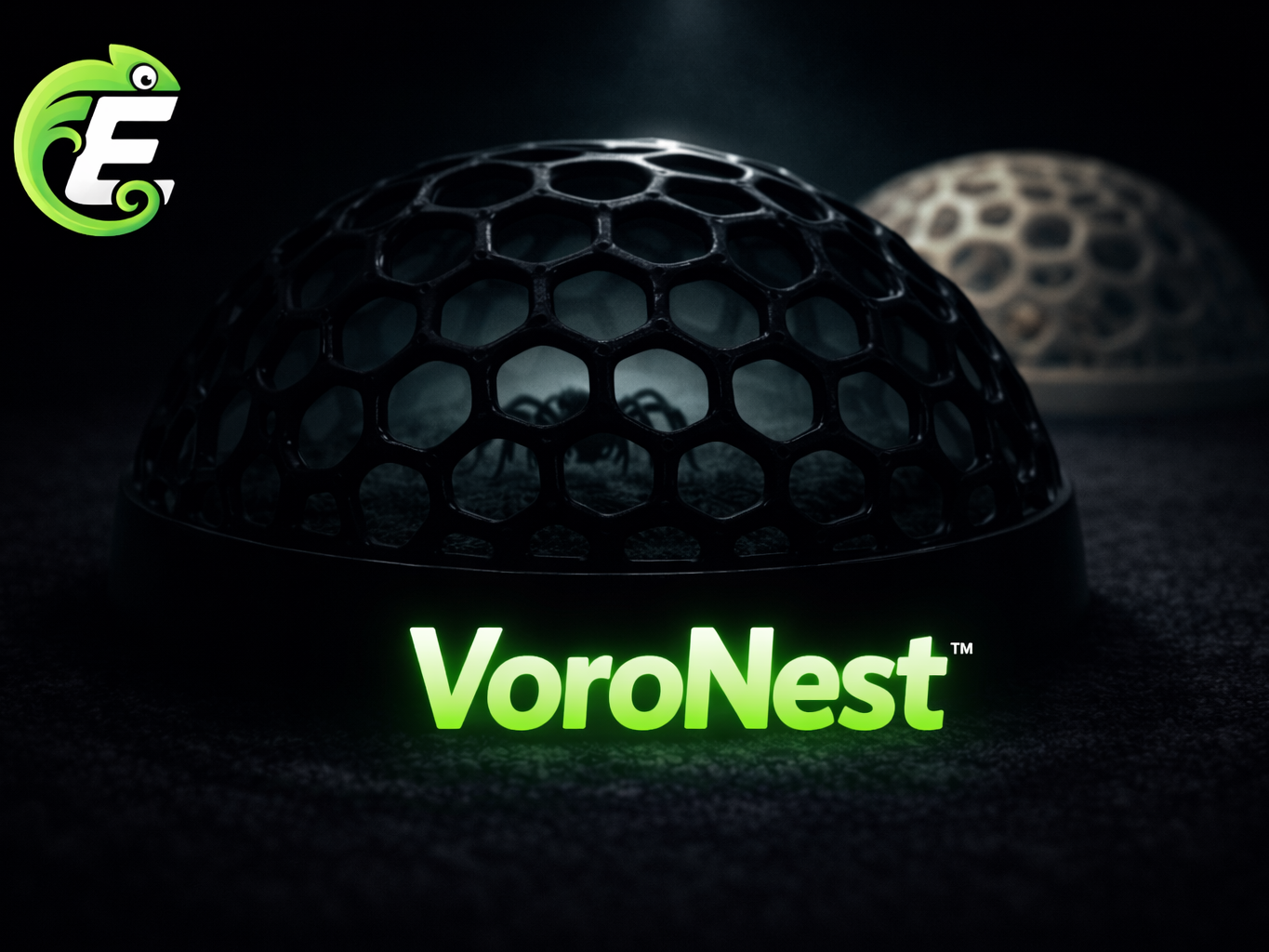 Jumping Spider Nursery – VoroNest