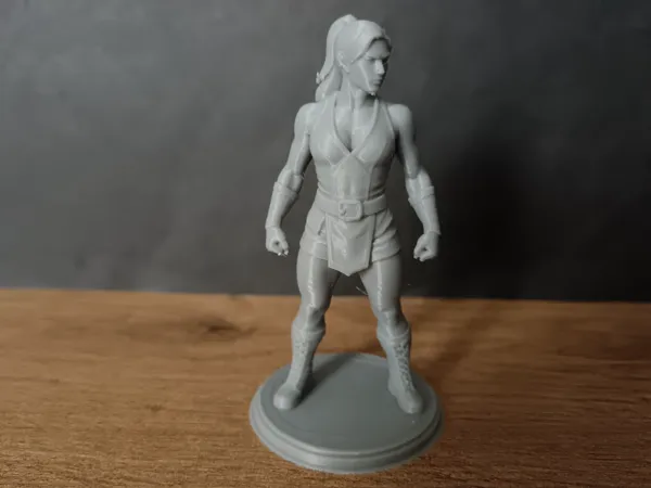 https://makerworld.bblmw.com/makerworld/model/US67b73a6ec0f6e8/design/2025-10-15_8df0e7e8bf959.jpg