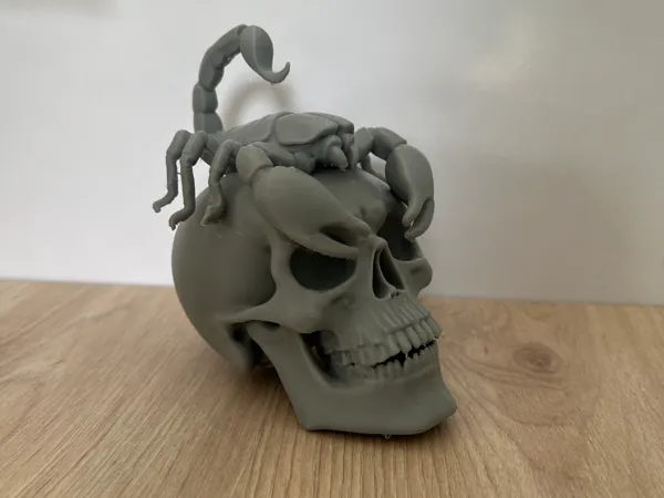 https://makerworld.bblmw.com/makerworld/model/US67bc9aa08d392f/design/2025-08-24_10ecc6715b45d8.jpeg