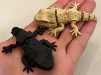 0.16mm layer, 2 walls, 15% infill