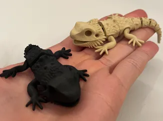 Articulated Bearded dragon (chill) 