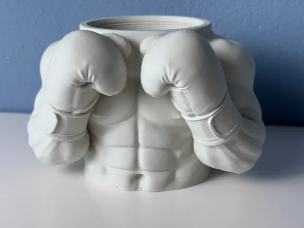 https://makerworld.bblmw.com/makerworld/model/US67c0d8cc96b896/design/1cb9c1d65e18af90.jpg