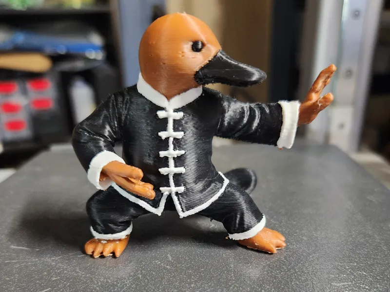 School Logo; Tai Chi Platypus