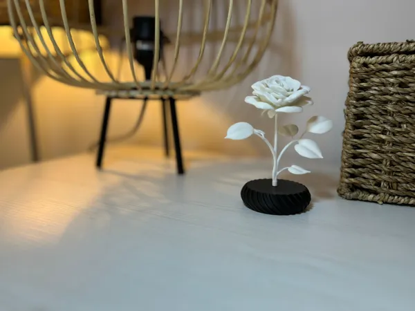 https://makerworld.bblmw.com/makerworld/model/US67c373b012b23/design/2025-01-26_4d609a07274c1.jpeg