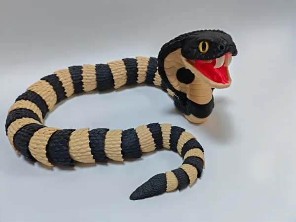 https://makerworld.bblmw.com/makerworld/model/US67c3876f59ecd0/design/2026-01-07_52961aa144eed.jpg