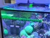 ALL SIZES 0.2mm layer, 3 walls, 15% infill