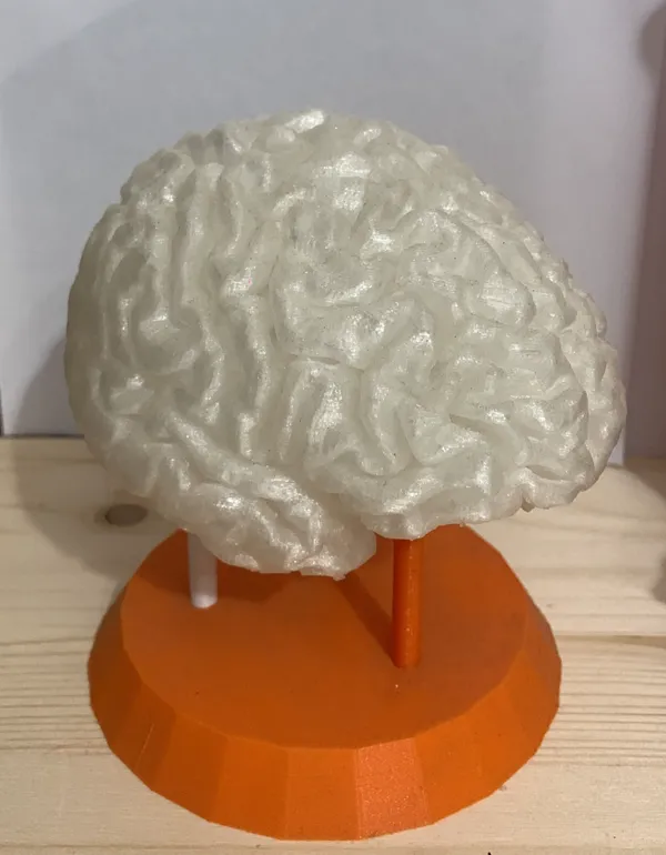 https://makerworld.bblmw.com/makerworld/model/US67cbdb83621300/design/2024-03-01_1c9a3a6cf0263.jpeg