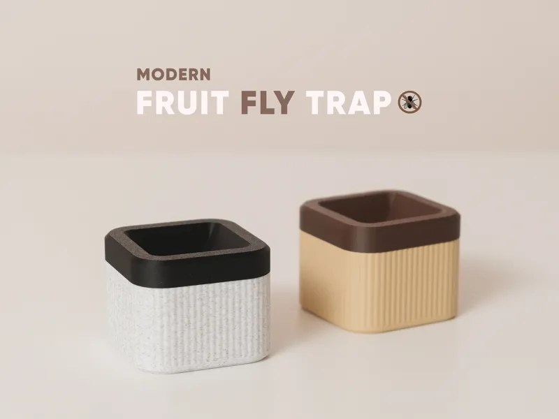 Modern Fruit Fly Trap