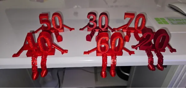 https://makerworld.bblmw.com/makerworld/model/US67d498577f63a4/design/2025-01-13_c469cf6a0f6238.jpg