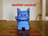 0.25mm layer, 2 walls, 0% infill