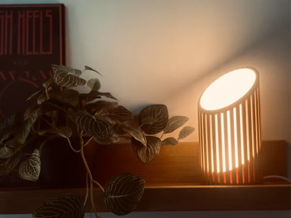 https://makerworld.bblmw.com/makerworld/model/US67d8c8b0dd0f95/design/2026-01-16_5fb0582a95017.jpg