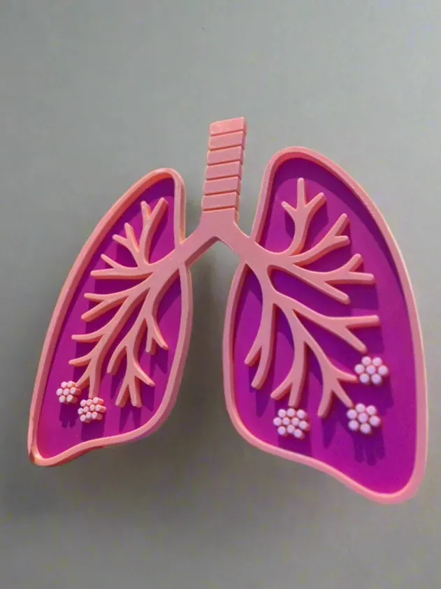 Anatomical Disected Lung by Luxe CreationsMakerWorld: Download Free 3D ...