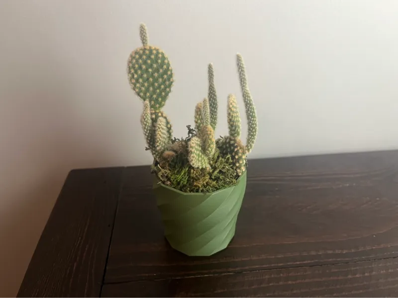 Small Modern Spiral Planter Pot