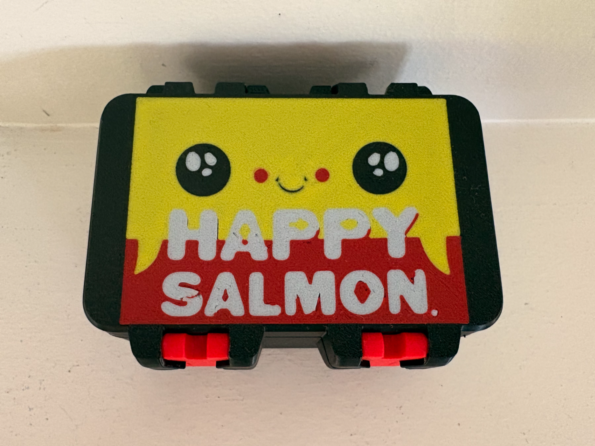 Happy Salmon SnapLock Box