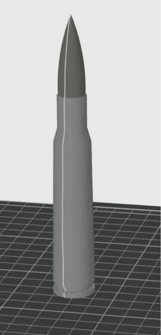 Two tone .50 BMG