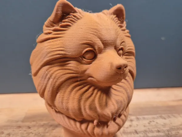 https://makerworld.bblmw.com/makerworld/model/US67ecdd7eec7e87/design/2025-05-13_291e4495b5199.jpg