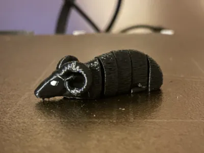 Flexi ram