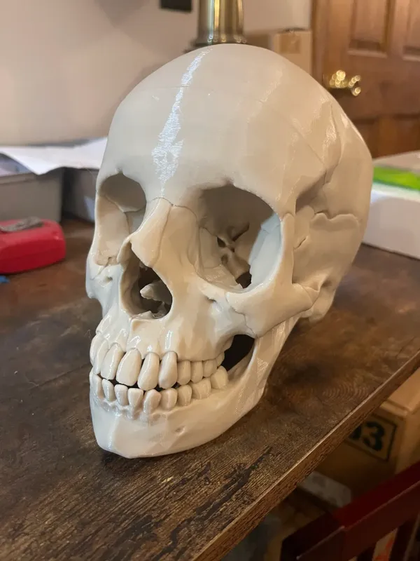 https://makerworld.bblmw.com/makerworld/model/US67f05b7fdb4b3f/design/2024-01-30_30781eafa72f8.webp
