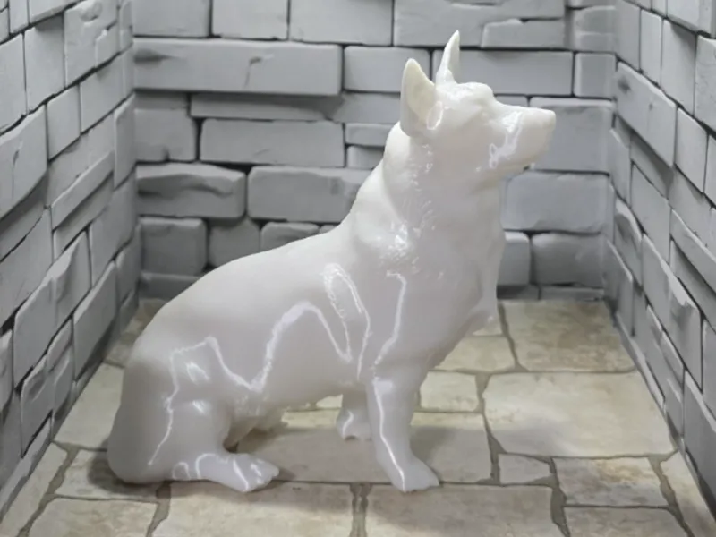 Welsh Corgi