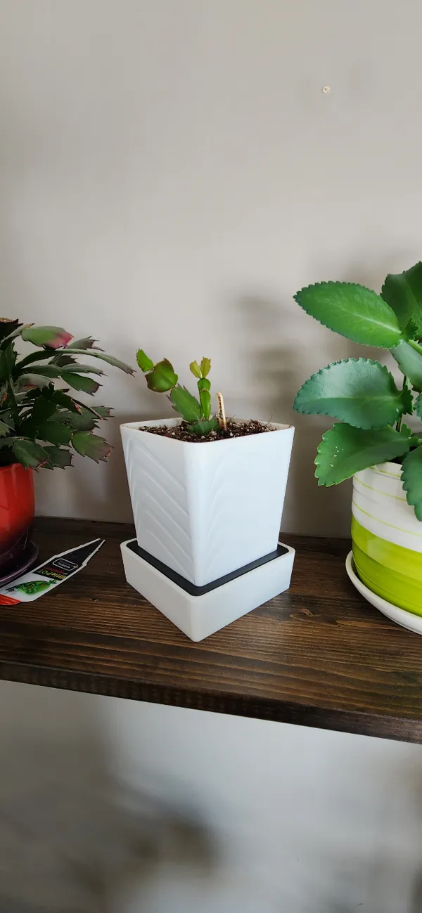 https://makerworld.bblmw.com/makerworld/model/US67f8aa00f572b0/design/2024-03-22_eec718c7fe8068.jpg