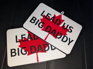 Lead Us Big Daddy sign