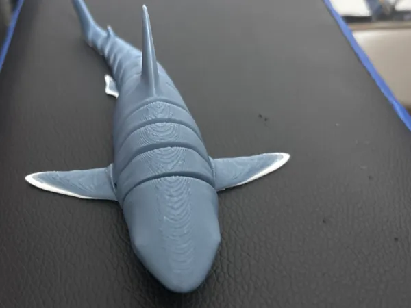 https://makerworld.bblmw.com/makerworld/model/US6802c5bd83849d/design/8a4937791f6a1cfd.jpg