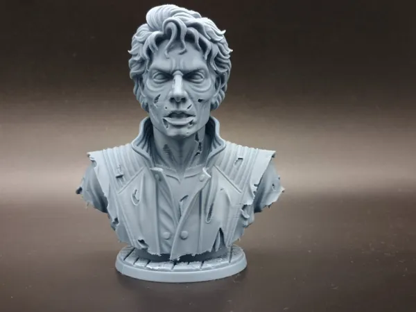 https://makerworld.bblmw.com/makerworld/model/US680483f9ade3b5/design/ec3fdf39aa165fed.jpg