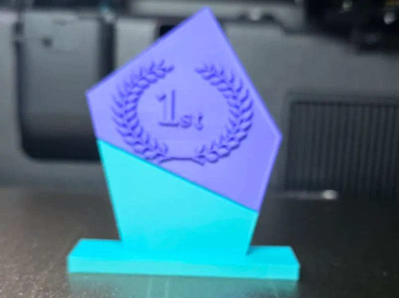 1st 2nd and 3rd customizable trophy's