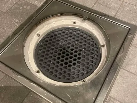 Showerdrain filter