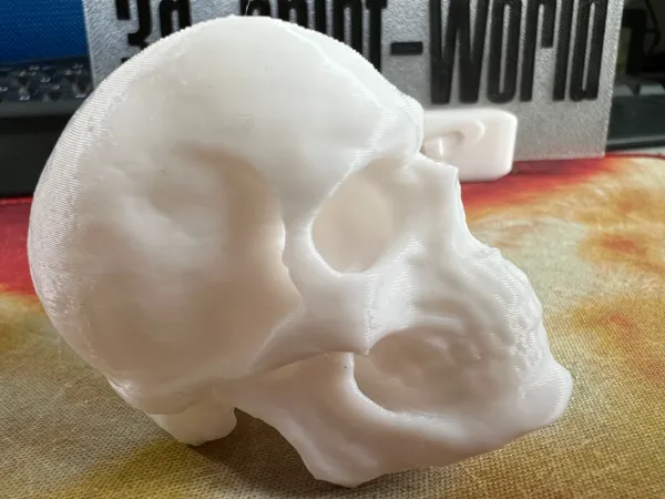 https://makerworld.bblmw.com/makerworld/model/US6810caa88641f2/design/2024-10-01_2d082cb867c6c.jpg
