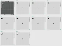 M / 0.16mm layer, 2 walls, 5% infill