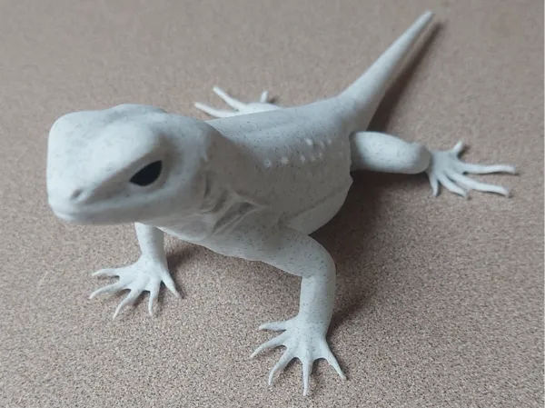 https://makerworld.bblmw.com/makerworld/model/US6815fd5b5b0092/design/6e3d9f12d814e7b2.jpg