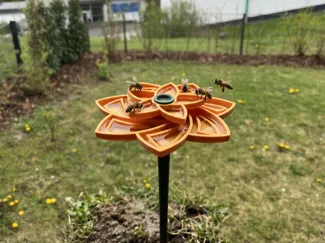 Insect waterer / Bee bath