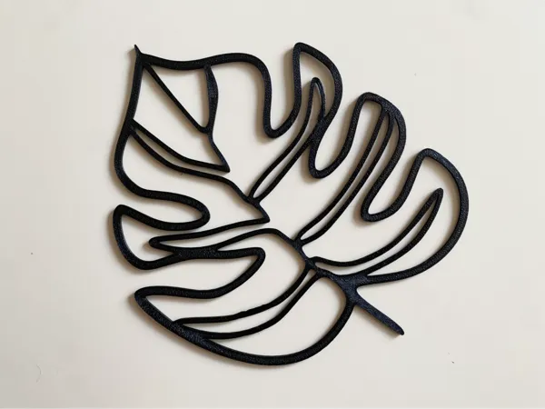 Feuille de monstera minimaliste